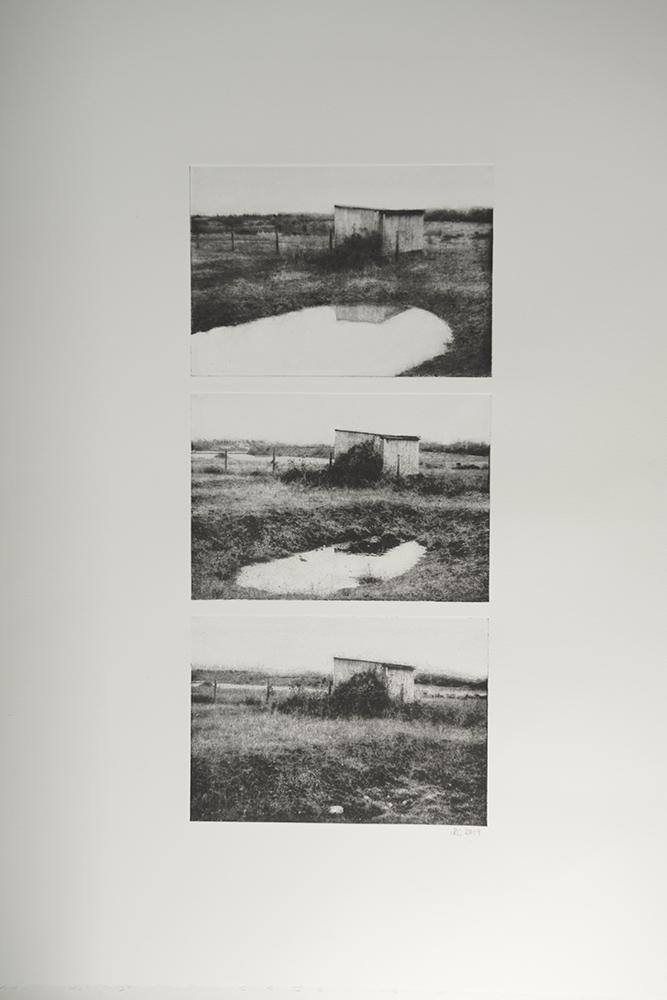 Regret in the Garden of Eden Triptych, 2019, Photopolymer Etching on Somerset paper